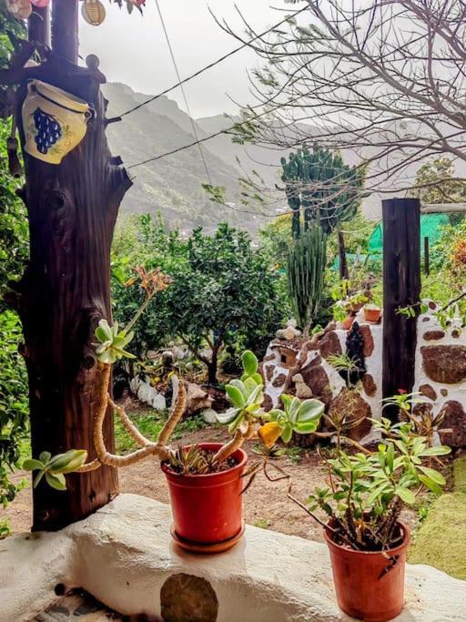 Villa Tamadaba Agaete  Luaran gambar